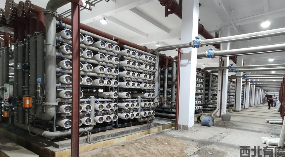 海德能德选型软件为什么无法输入碳酸根参数？